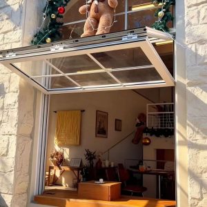 Folding Doors